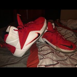 Lebron 12 “Heart of a Lion”